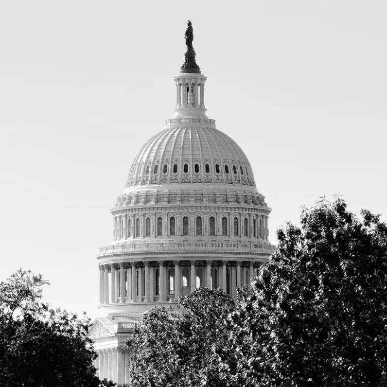 United States Capitol dome